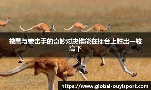 袋鼠与拳击手的奇妙对决谁能在擂台上胜出一较高下